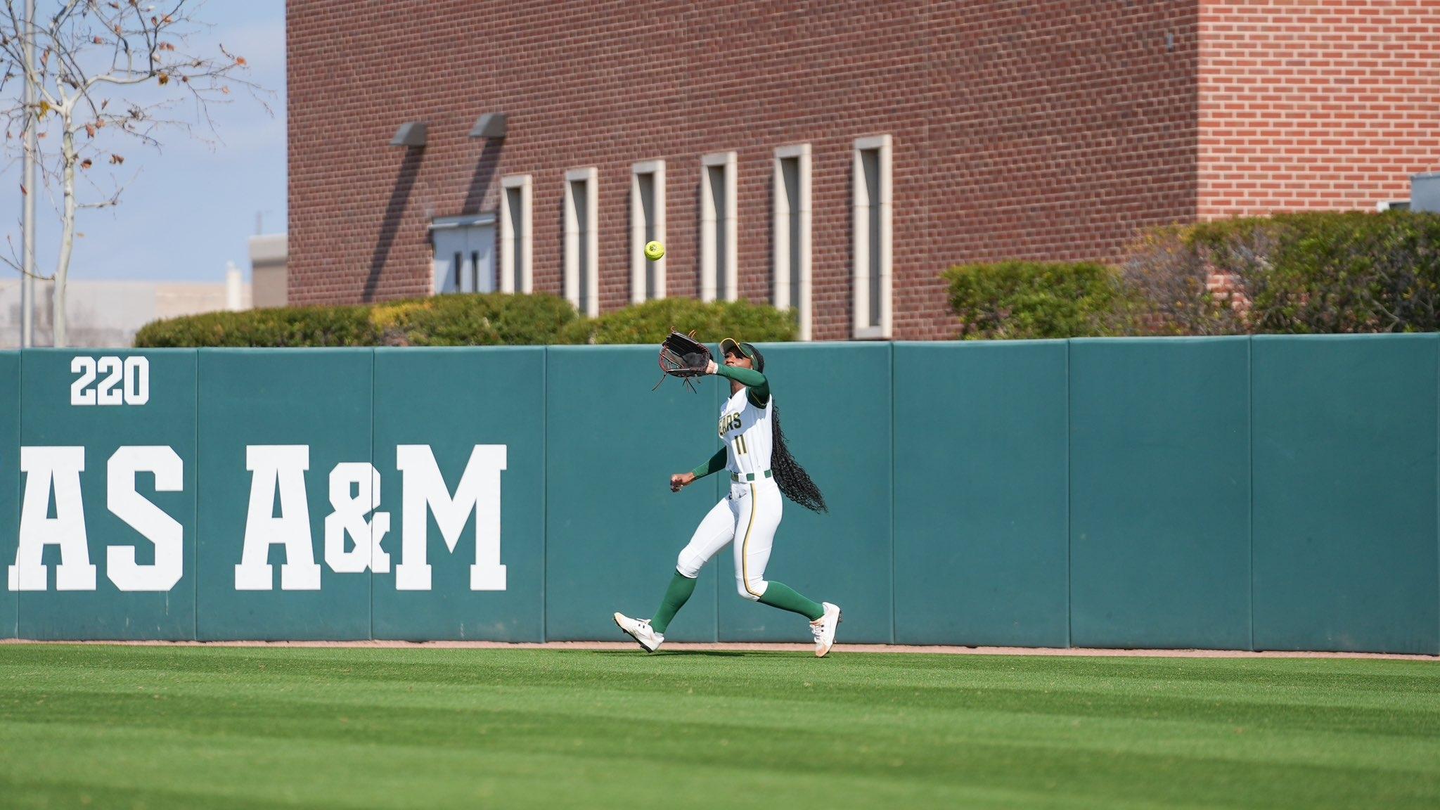 Baylor softball