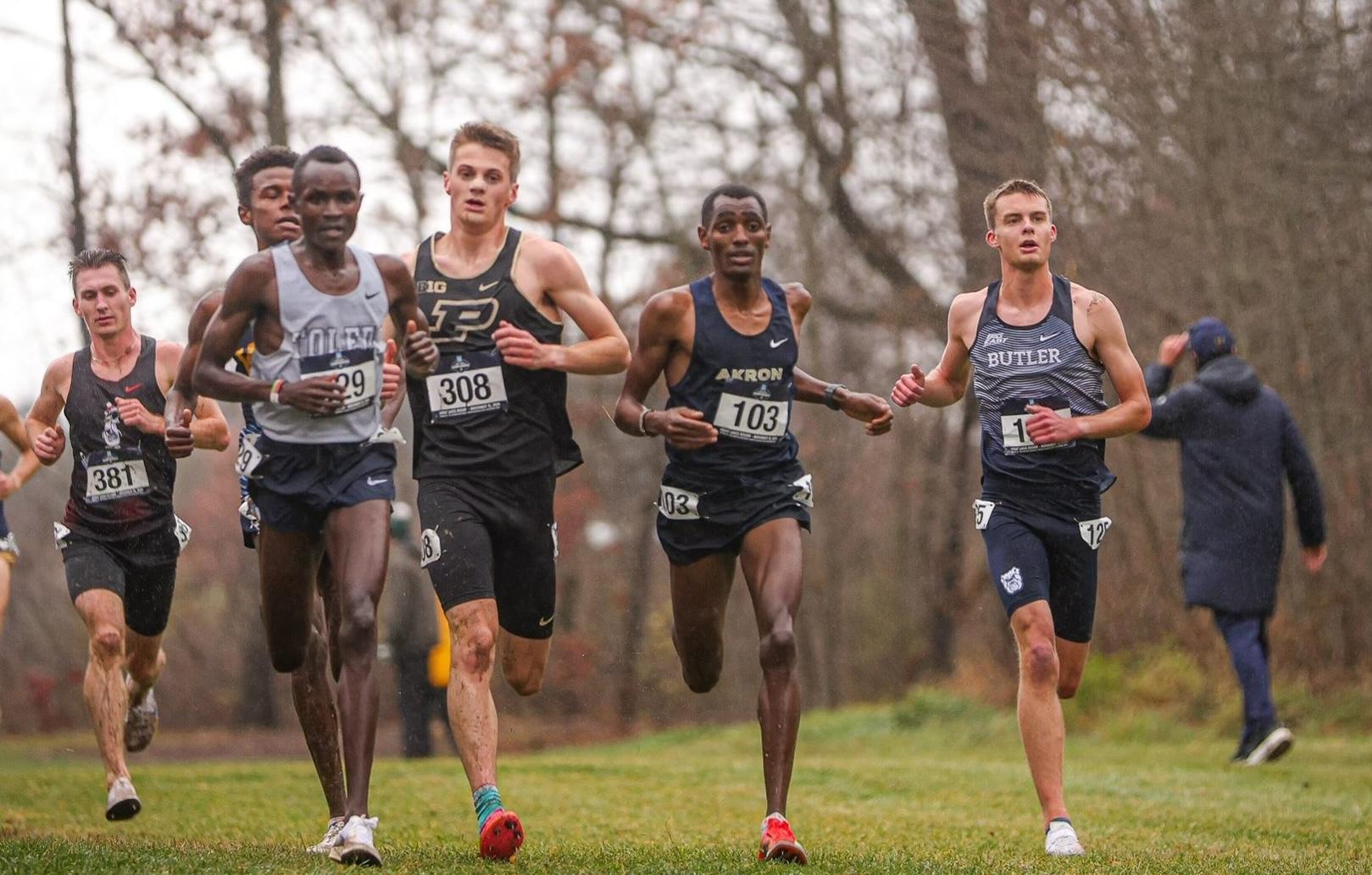 xc